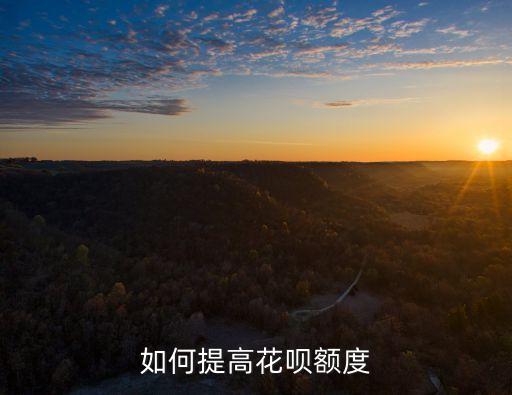 手機(jī)怎么提升花唄額度，手機(jī)支付寶怎么樣可以提升花唄額度