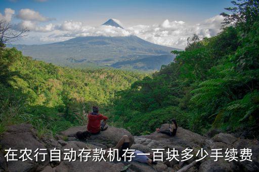 農(nóng)行自助存款機(jī)手續(xù)費(fèi)怎么收費(fèi)標(biāo)準(zhǔn)，在農(nóng)行自動(dòng)存款機(jī)存一百塊多少手續(xù)費(fèi)