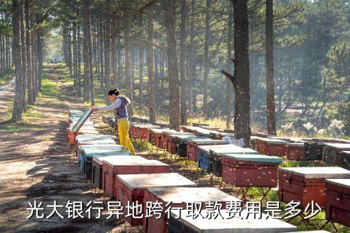 光大銀行異地跨行取款費用是多少