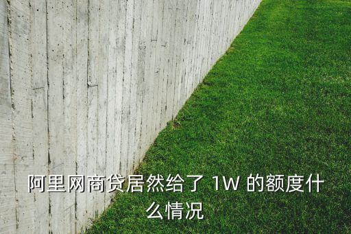 網(wǎng)商貸額度怎么那么高，阿里網(wǎng)商貸居然給了 1W 的額度什么情況