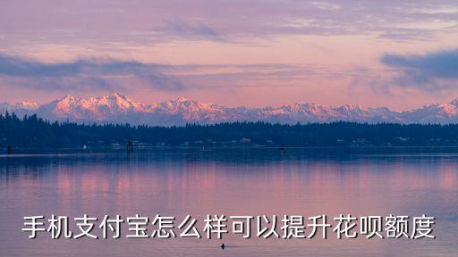 手機(jī)支付寶怎么樣可以提升花唄額度