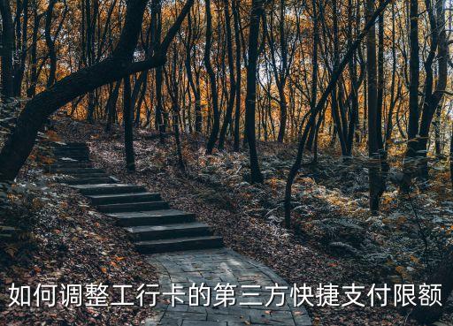 工行銀行快捷支付限額怎么修改，如何調(diào)整工行卡的第三方快捷支付限額