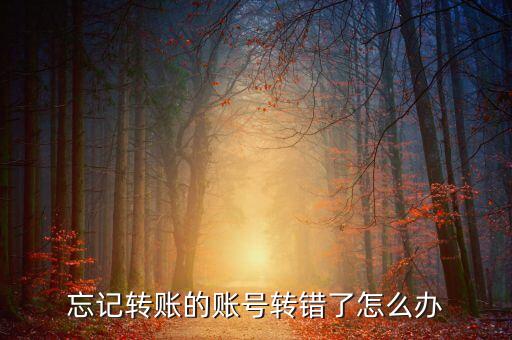 忘了給哪個號匯款過了怎么辦，忘記轉(zhuǎn)賬的賬號轉(zhuǎn)錯了怎么辦