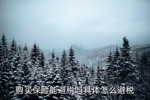 購買保險能避稅嗎具體怎么避稅