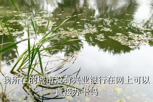我所在的城市沒(méi)有興業(yè)銀行在網(wǎng)上可以直接辦卡嗎
