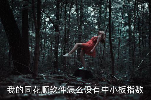 中小板股票怎么在同花順查詢，我的同花順軟件怎么沒(méi)有中小板指數(shù)