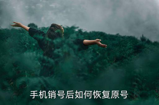 注銷后的號(hào)碼怎么恢復(fù)，手機(jī)號(hào)碼注銷怎么恢復(fù)