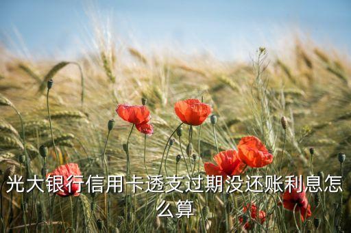 信用卡一個(gè)月沒(méi)還利息怎么算，建行信用卡逾期利息怎么算