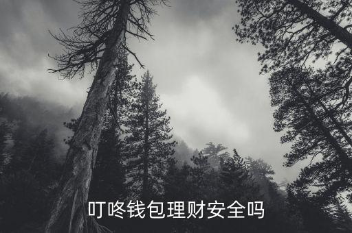 叮咚理財怎么樣安全么，叮咚錢包理財安全嗎