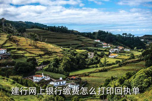 建行怎么打印電子回單，建行網(wǎng)上銀行繳費怎么打印回執(zhí)單
