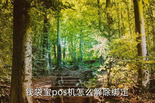 錢袋寶pos機(jī)怎么解除綁定