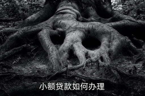 怎么可以小額貸款，如何申請(qǐng)小額貸款
