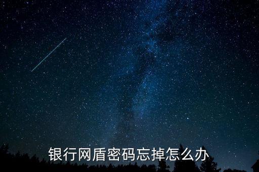 中國銀行e盾密碼忘記了怎么辦，ICBC U盾密碼忘記了怎么辦