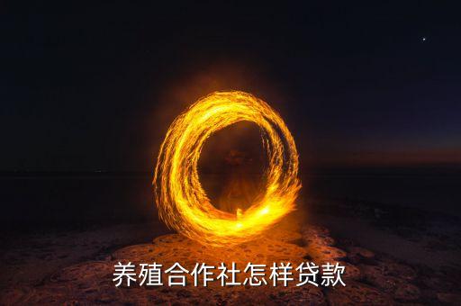 農(nóng)村合作社養(yǎng)殖業(yè)怎么貸款，養(yǎng)殖專業(yè)合作社怎么申請貸款