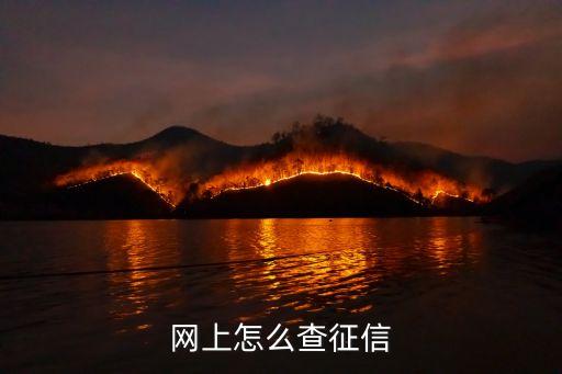 網(wǎng)上怎么查征信