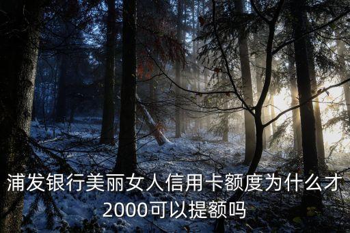 浦發(fā)銀行美麗女人信用卡額度為什么才2000可以提額嗎