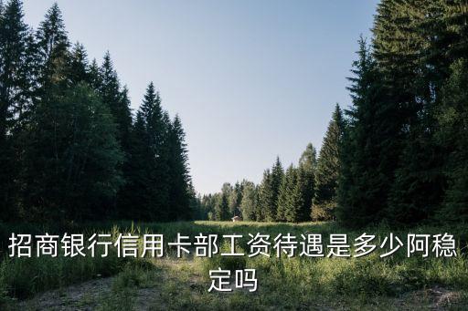 招行信用卡總部 待遇怎么樣，招行深圳總行待遇怎么樣