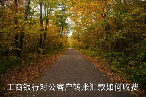工商銀行對(duì)公賬戶怎么轉(zhuǎn)賬手續(xù)費(fèi)是多少，工商銀行對(duì)公客戶轉(zhuǎn)賬匯款如何收費(fèi)