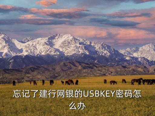 忘記了建行網(wǎng)銀的USBKEY密碼怎么辦