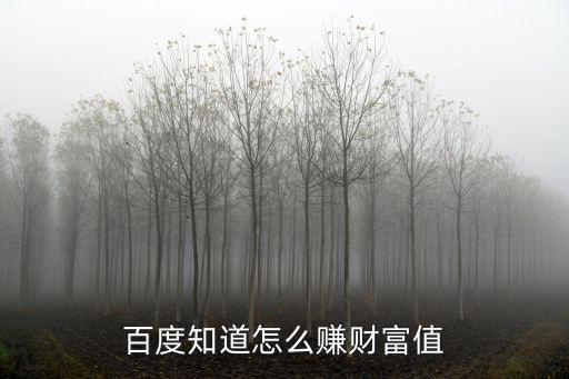 百度知道怎么賺錢財富，百度知道怎么賺財富值