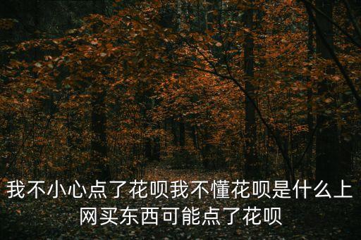 支付里的花唄是什么東西怎么辦，我不小心點了花唄我不懂花唄是什么上網(wǎng)買東西可能點了花唄