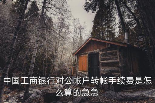 工商銀行對(duì)公賬戶怎么轉(zhuǎn)賬手續(xù)費(fèi)是多少錢，工商銀行對(duì)公客戶轉(zhuǎn)賬匯款如何收費(fèi)