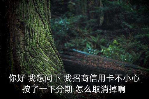 你好 我想問下 我招商信用卡不小心按了一下分期 怎么取消掉啊