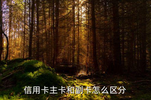 怎么區(qū)分信用卡主卡和副卡，信用卡主卡和副卡怎么區(qū)分