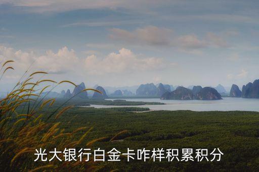 光大白金卡積分怎么賺，光大龍騰白金信用卡積分怎么算的