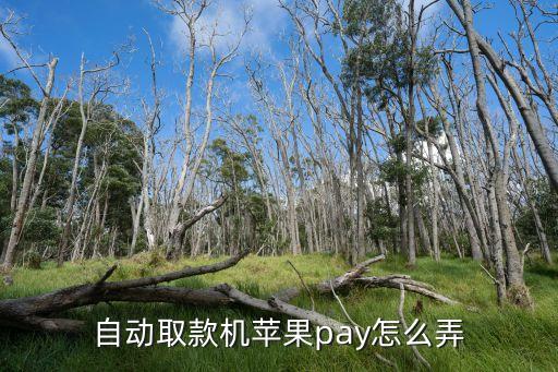 自動取款機蘋果pay怎么弄