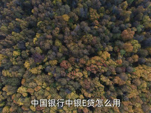 中國銀行中銀E貸怎么用