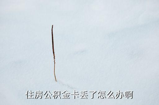 住房公積金卡丟了怎么辦啊