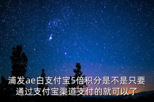 浦發(fā)ae白支付寶5倍積分是不是只要通過支付寶渠道支付的就可以了