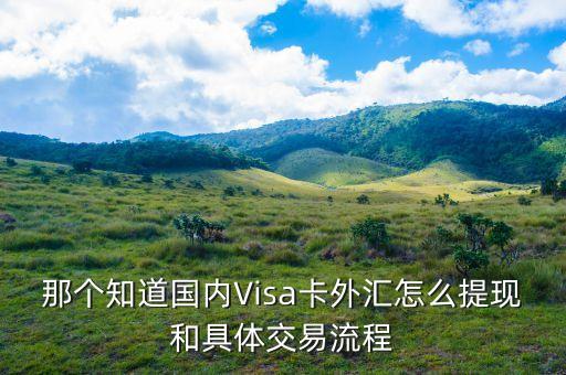 visa里的美金怎么套現(xiàn)，那個知道國內(nèi)Visa卡外匯怎么提現(xiàn)和具體交易流程