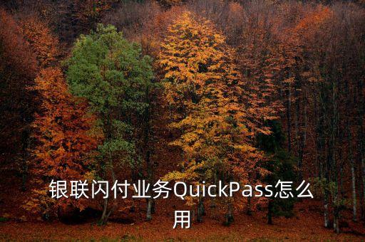 銀聯(lián)閃付業(yè)務(wù)QuickPass怎么用