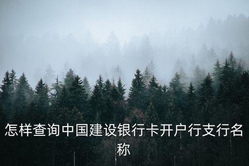 怎樣查詢中國建設(shè)銀行卡開戶行支行名稱