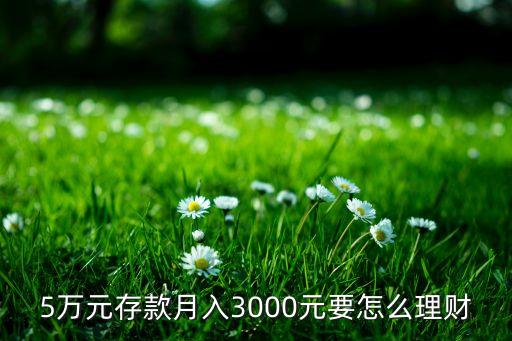 5萬(wàn)元存款 月入3000元 要怎么理財(cái)呢，5萬(wàn)元存款月入3000元要怎么理財(cái)