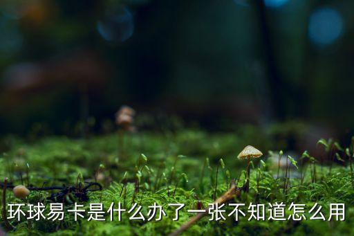 環(huán)球易卡是什么辦了一張不知道怎么用
