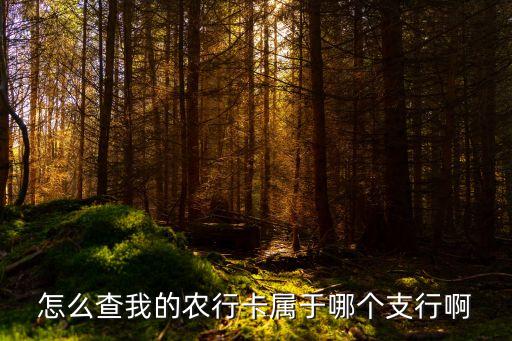 農行怎么查支行的名字，農業(yè)銀行怎么查詢自己的開戶行支行名稱