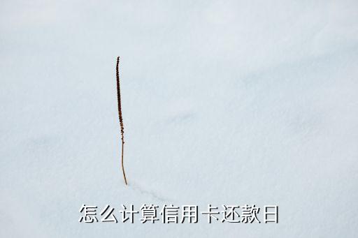 怎么計算信用卡還款日