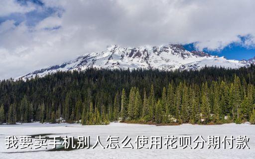 花唄借條別人怎么付款，花唄怎么支付給別人