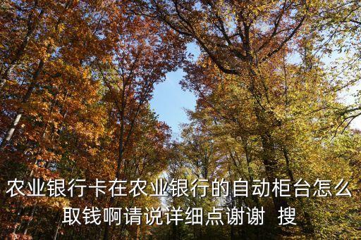 農(nóng)行柜臺怎么取錢，農(nóng)業(yè)銀行卡在農(nóng)業(yè)銀行的自動柜臺怎么取錢啊請說詳細(xì)點謝謝  搜