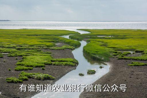 怎么搜尋農(nóng)行公眾號(hào)，微信怎么查農(nóng)業(yè)銀行公眾號(hào)