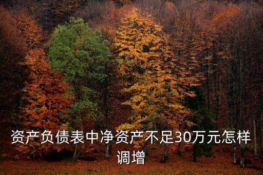 資產(chǎn)負(fù)債表中凈資產(chǎn)不足30萬元怎樣調(diào)增