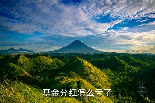 基金分紅怎么虧了