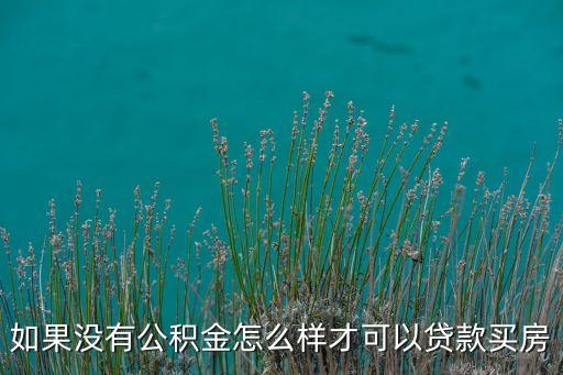 我怎么沒有公積金貸款買房，如果沒有公積金怎么樣才可以貸款買房