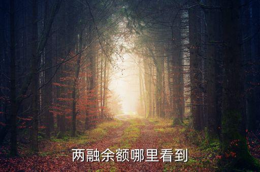 兩融余額哪里看到