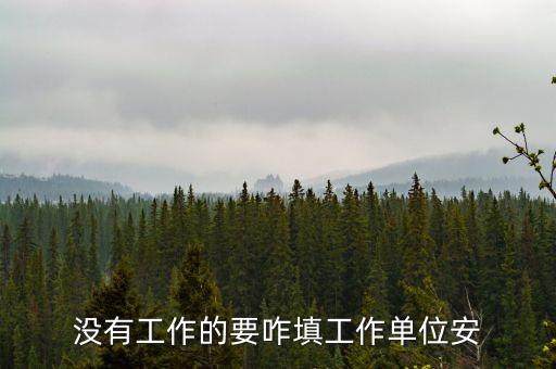 沒工作有單位和固定電話怎么填，沒有工作的要咋填工作單位安