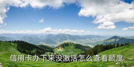 浦發(fā)信用卡沒激活怎么查額度，有水知道浦發(fā)信用卡在沒拿到卡時(shí)怎么查額度