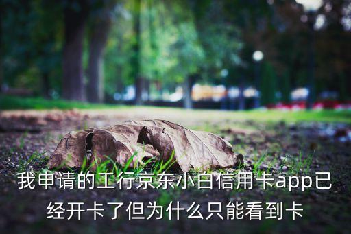 怎么查京東小白信用卡額度是多少，光大銀行京東小白卡 額度怎么查